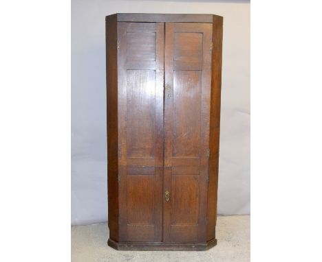 Georgian twin door double corner cupboard with brass hinges and handles