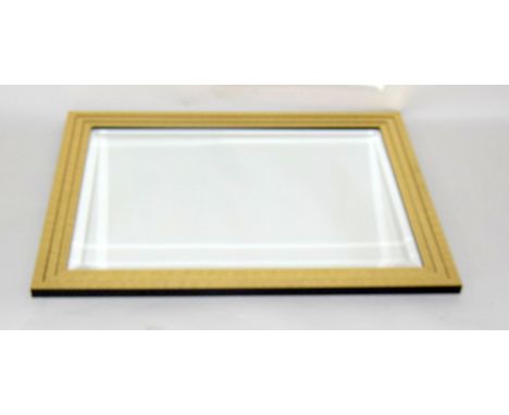 Gilt bevelled edge mirror