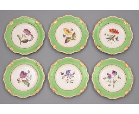 A set of six Derby botanical plates, c1825, each with a different painted specimen accompanied by one or more butterfly, in m