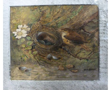 Reginal H Austin (Royal Worcester Artist), 'Thrushes Nest and Eggs', signed lower right, watercolour, 21cm x 21cm CONDITION R