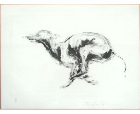 A Julia ? Payne ?, a running greyhound, signed in pencil to the border, numbered 1 of 1 engraving, plate size 14 cm x 20 cm  