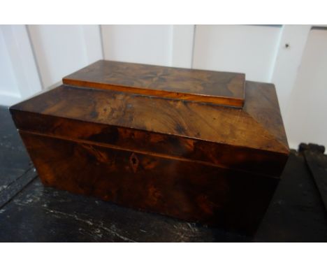 A REGENCY YEW WOOD AND MARQUETRY TEA CADDY of sarcophagus form, the interior partially lacking, 12.5" wide; and a pair of Vic