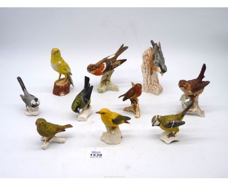 Ten Goebel bird figures, Robin, Wren, etc.