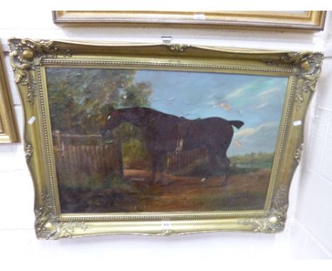 AN UNSIGNED OIL ON CANVAS, horse at gate in countryside, approximately 50cm x 75cm (a/f)
