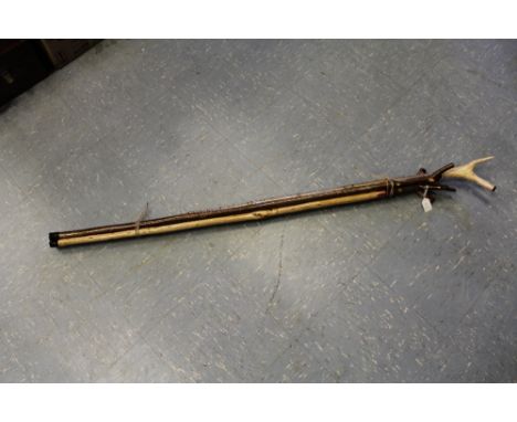 Bundle of walking stick