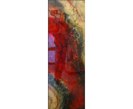KERRY DARLINGTON acrylic, layered and relief resin, unique edition (7/95) framed print, 119 x 40cm 