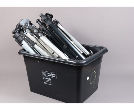 Eight Lightweight Camera Tripods, with pan and tilt heads, brands include Atlantic, Camlink, Centon, Silvercrest, Slik, Star,