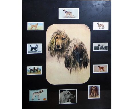 Assorted pictures and lighting in a basket