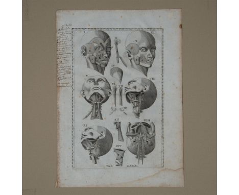 Highly detailed etching derived from the book titled De Ontleedkundige Plaaten van B.Eustachius. Demonstrates six views of th