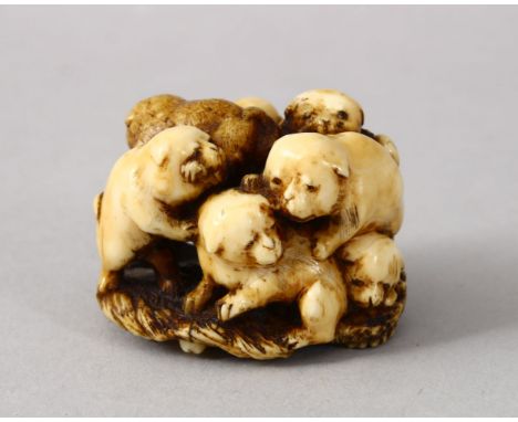 A GOOD JAPANESE LATE EDO / MEIJI PERIOD CARVED STAG ANTLER NETSUKE OF PUPPIES, the netsuke depicting six small akita pups cli