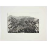 Armin Pramstaller(1938-2002)"Nussberg"1971Radierung; Ed. 18/80; aus der Mappe "Wien