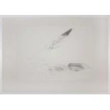 Walter Pichler(1936 - 2012)"Fischteiche für meine Mutter"1972Offsetlithographie; E