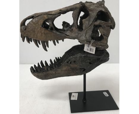 A model T Rex skull, on post, 32 cm high including stand