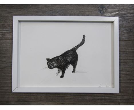 KAREN LORENZ (Contemporary Cornwall artist) A framed original pen and ink drawing of a cat, signed and dated Lorenz 2011, 20c