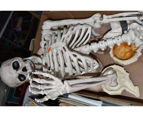 A BOX OF MOULDS AND HALF OF A MODEL SKELETON, comprising various plaster moulds and part moulds, largely of an anatomical nat