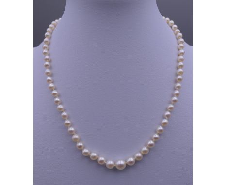 A pearl necklace with a diamond set 9 ct white gold clasp. Approximately 36 cm long. 