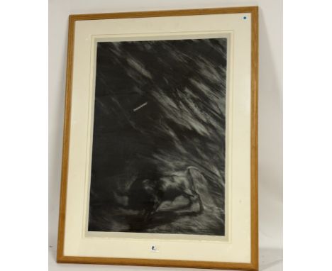 Phyllis McGibbon (American 1961-), The Bull, lithograph 6/7, signed and dated '84 in pencil, artist labels verso, framed. (65