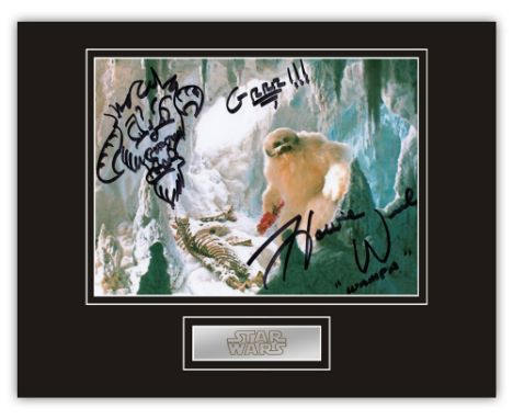 Stunning Display! Star Wars Howie Weed hand signed professionally mounted display. This beautiful display consists of a 10"x8