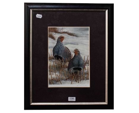 B*AmeillSwimming Ducks, signed and dated (19)95, watercolour, together with a further coloured print depicting a pointer retr