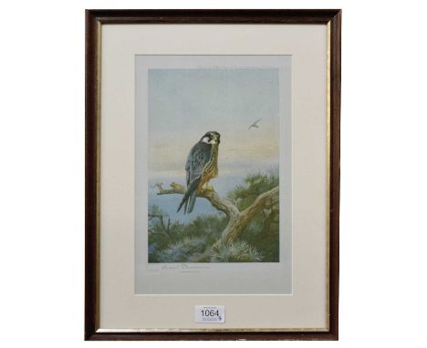 After Archibald Thorburn FZS (1860-1935)HobbySigned in pencil with blindstamp for Fine Art Trade Guild, colour print, 31cm by