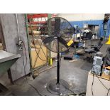 Central Machinery 30 in. Pedestal Fan; 120-Volt