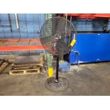 Central Machinery 30 in. Pedestal Fan; 120-Volt