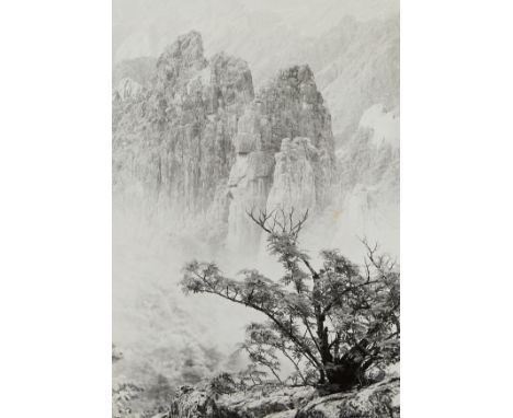 Chin San Long (Lang Jingshan) (Chinese, 1892-1995). Photograph titled "Majestic Solitude," executed 1934, depicting a low tre