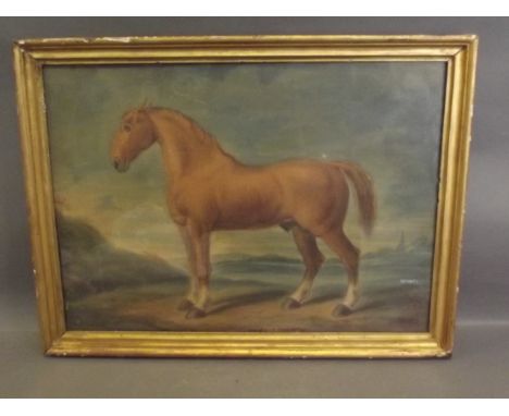 A C19th naïve watercolour, portrait of a horse, dated ;AD 1803', 19½'' x 14'' 