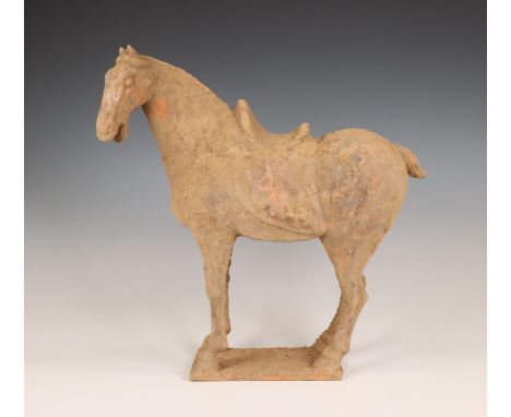 China, pottery model of a horse, probably Tang dynasty (618-906), standing foursquare on a plinth (encrustation, damage and w