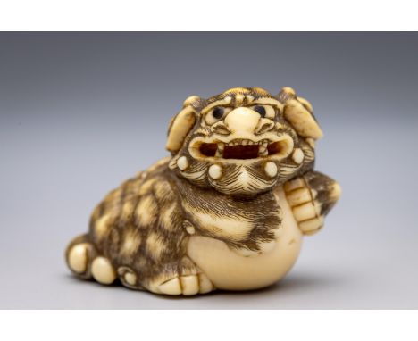 Japan, an ivory netsuke, Edo period (1603-1868), late 18th/ 19th century, carved as a shishi lion with powerful exposition, i