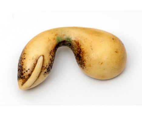 Japan stag-horn netsuke Edo period; kalebas l. 5 cm. Uit de nalatenschap van Clemens Merkelbach van Enkhuizen [1]