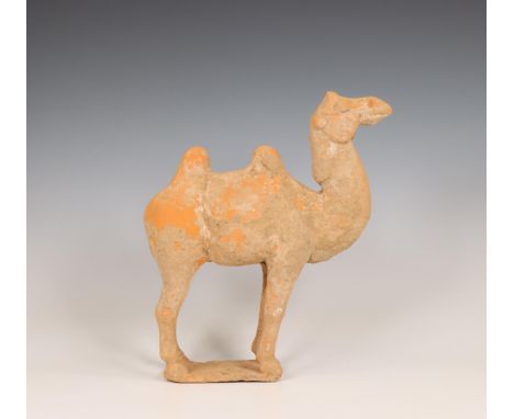 China, pottery model of a camel, probably Tang dynasty (618-906), standing foursquare on a rectangular plinth (encrustation, 
