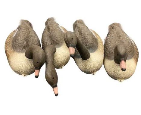 HUNTING INTEREST - decoy geese (4) in plastic, approx 80cms L the largest