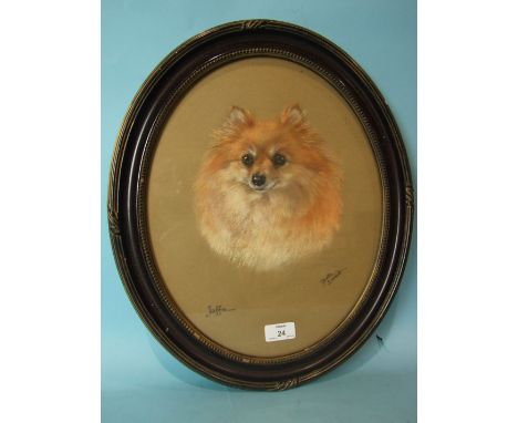 Dorothy S Hallett JAFFA, (PORTRAIT OF A SHELTI) Pastel drawing framed oval, signed and titled, 37 x 29cm, also, late-19th cen
