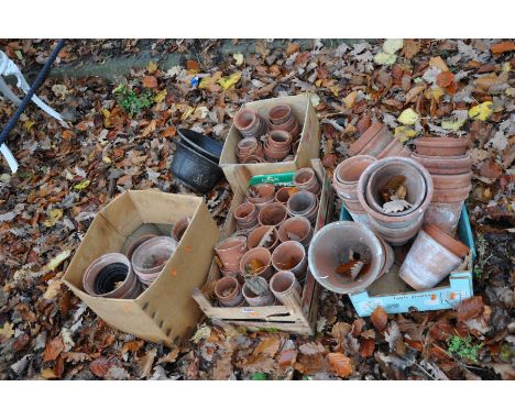A COLLECTION OF VINTAGE TERRACOTTA POTS in four trays