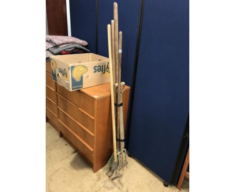 Assorted gardening tools