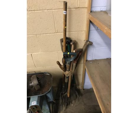Assorted gardening tools