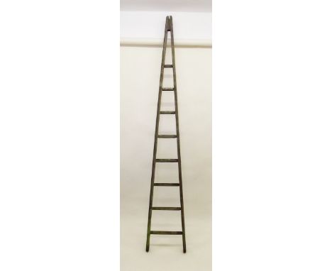 An apple picking ladder 