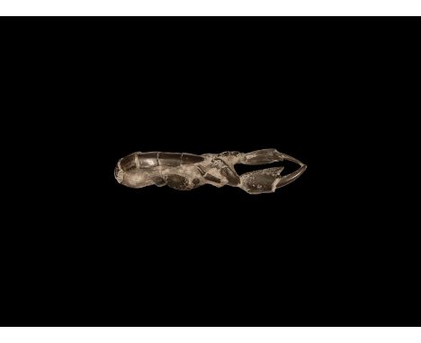 Eocene Period, 58-36 million years BP. A fossil crayfish in matrix from a sedimentary layer.  236 grams, 19.5cm (7 3/4"). Ex 