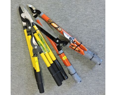 A power pruner, together with a pair of loppers, shears and a lopper, shear and secateur set