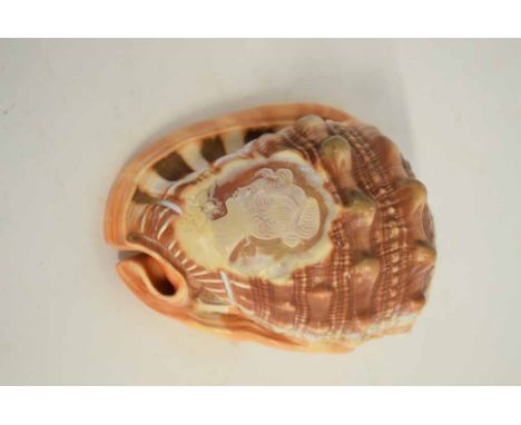 Good quality cameo shell with a head and shoulders portrait of a young lady, 14cms long 