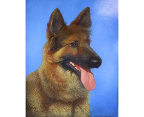 Denby Sweeting (British 1936-2020), Portrait of an Alsatian, signed bottom left, oil on panel, measurements 25.5 x 20 cm, fra