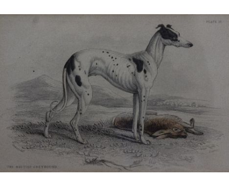 FOUR GEORGE VERNON STOKES PRINTS OF DOGS  with two further dog related prints, the largest measuring 23cm x 18cm (6)