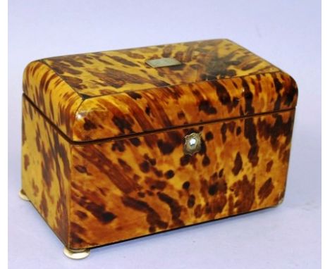 A REGENCY BLONDE TORTOISESHELL TWO DIVISION TEA CADDY with moulded top, on ivory bun feet 7.25ins wide.