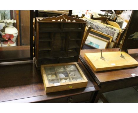 A case of shells and a small wooden shelving unit 