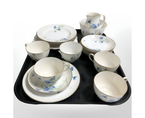 Twenty pieces of Royal Worcester hand painted floral tea china. (1 tea cup handle broken)