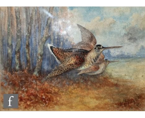 WILLIAM E. POWELL (1878-1955) - A pair of woodcocks in flight, watercolour, signed, framed, 11cm x 15cm, frame size 32cm x 35