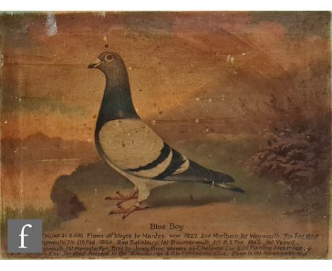 ANDREW BEER (1862-1954) - A portrait of the champion racing pigeon Blue Boy, oil on canvas, signed and extensively inscribed 