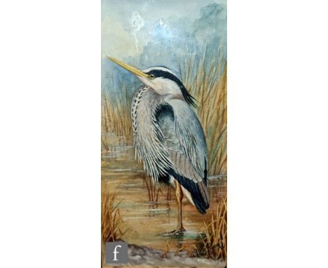 WILLIAM E. POWELL (1878-1955) - A heron amongst bulrushes, watercolour, signed, framed, 20cm x 10cm, frame size 34cm x 24cm, 