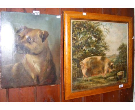 A painting on board of pig - signed TOWNSEND, together with a portrait of dog